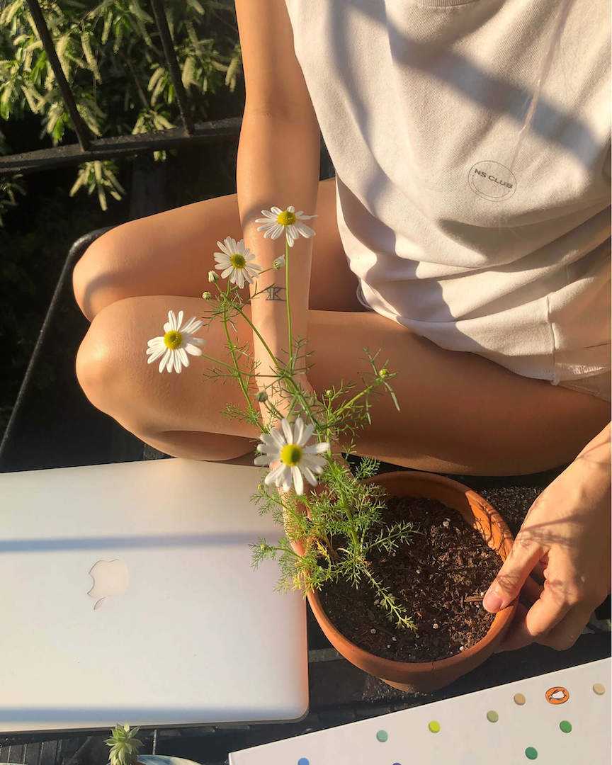 Three Night Snack Club founders represented as Apple Memoji-style avatars in a group video call.